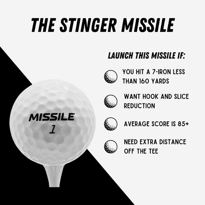 The STINGER Missile